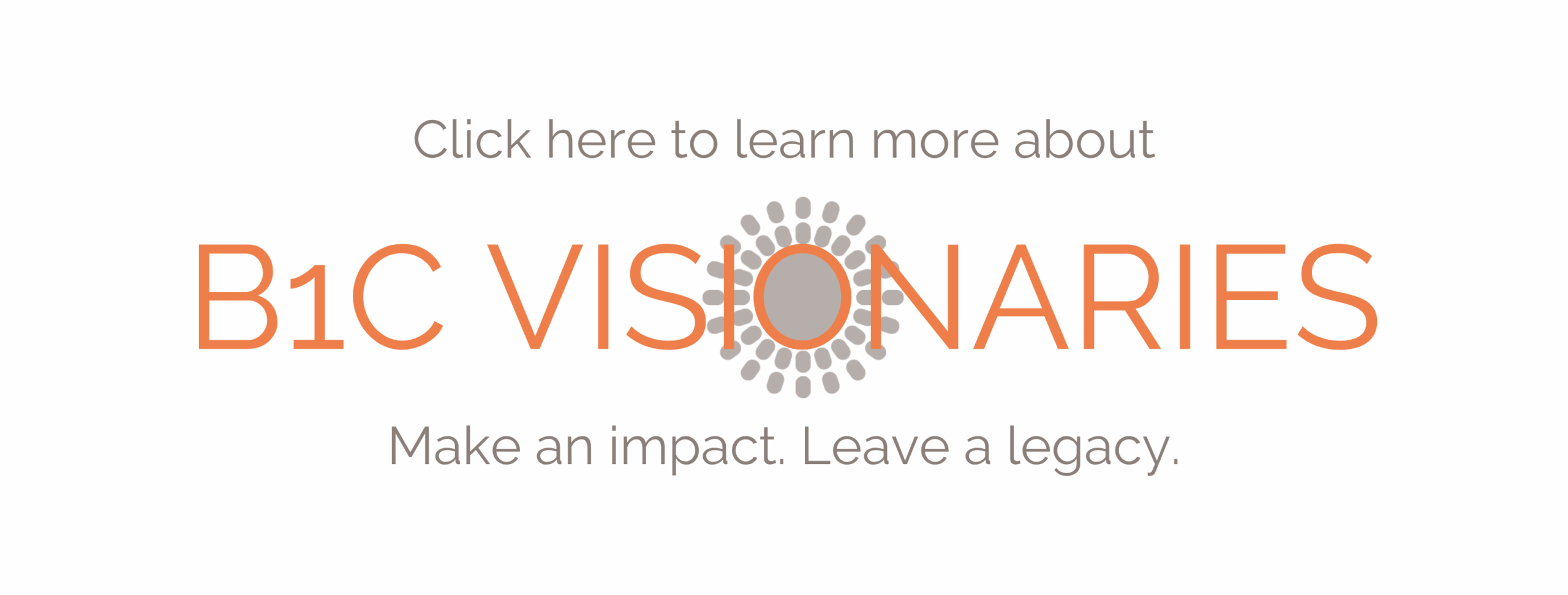 B1C VISIONARIES (1580 × 600px)